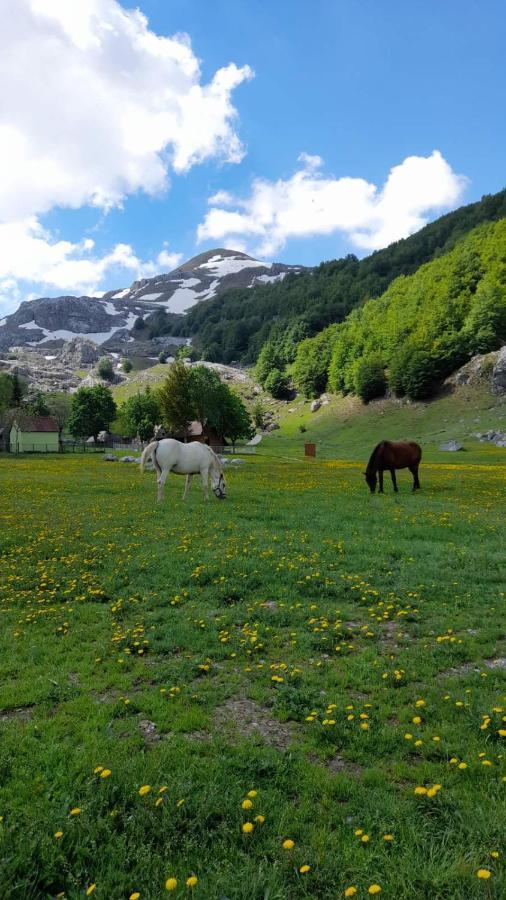 Katun Mokra Accommodation & Horseback Riding พอดโกริกา ภายนอก รูปภาพ
